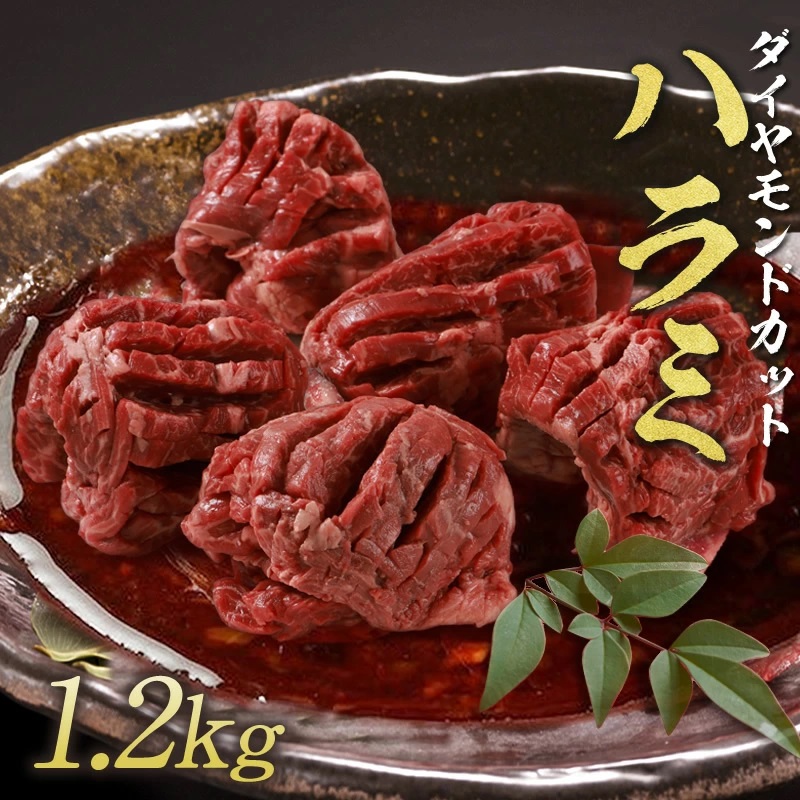 （訳あり／お徳用）ダイヤモンドカットハラミ10パックセット（1.2kg／120g×10パック）