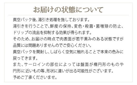 宮崎牛 牛肉 サーロイン ブロック 1kg 牛肉 冷凍 内閣総理大臣賞受賞 宮崎県産 九州産 ステーキ 霜降り黒毛 和牛 ステーキ 国産 宮崎 A4 A5等級 牛肉 焼肉 宮崎県産 送料無料 ブランド 牛 肉 牛肉 BBQ バーベキュー キャンプ 牛肉