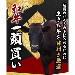 ふるさと納税 和牛 すきやき すき焼き 牛肉 牛 精肉   尾呂志屋精肉店の和牛ロース すき焼き用 750g  和歌山県新宮市