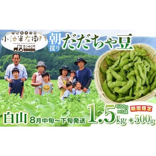 ふるさと納税 山形県 鶴岡市 数量限定朝採りだだちゃ豆 1.5kg 500g (500g×4袋) 枝豆　小池半左衛門