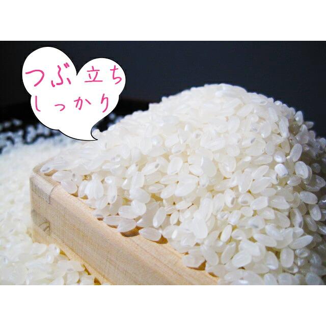 新米 米 10kg 精米 5年産 秋田県産 あきたこまち 白米10kg（5kg×2）小分け 送料無料 秋田こまち