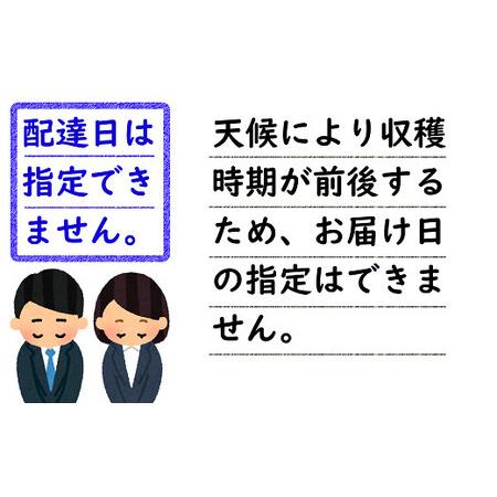 ふるさと納税  さくらんぼ 「紅秀峰」 約1kg (秀 2L以上) バラ詰め 《令和6年6月下旬〜発送》 『生産者おまかせ』 サクラ.. 山形県南陽市