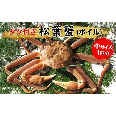 ふるさと納税 蟹 タグ付き 松葉蟹 (ボイル) 中1匹分[ かに カニ 松葉ガニ 京都府宮津市