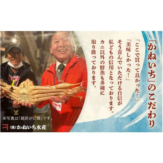 ふるさと納税 福井県 越前町 越前がに本場の越前町からお届け！越前がに極 浜茹で × 1杯（生で約1.5kg）極タグ付き！正真正銘の越前がに極！…