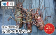 沖永良部島産！天然の伊勢えび　2kg(4～6匹)