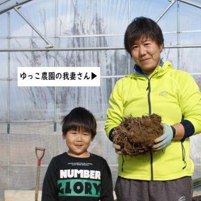 ふるさと納税 川西町 農家直送　土付き里芋(大和早生)3kg