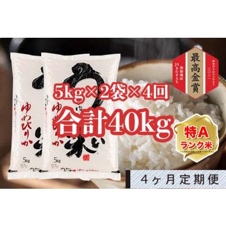 ふるさと納税 うりゅう米「ゆめぴりか」5kg×2袋 定期便！毎月1回・計4回お届け 北海道雨竜町