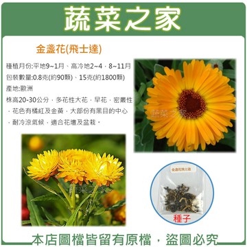 【蔬菜之家】H12.飛士達金盞花(株高20-30公分)種子
