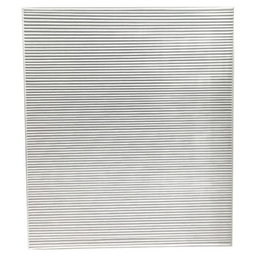 PUREBURG 淨博 高效HEPA空氣濾網濾心 含活性碳除臭功能 Hitachi 日立空氣清淨機 UDP-G25適用  A5000-01  1個