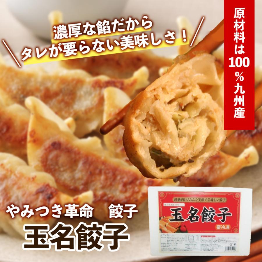 タレ要らず餃子 120個入 冷凍餃子 