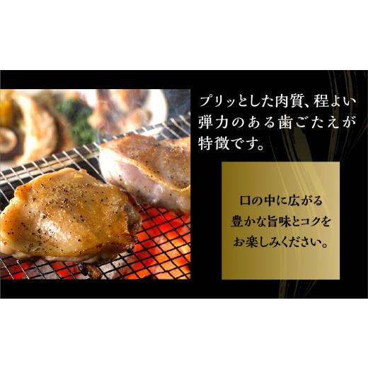 ふるさと納税 愛知県 田原市  三和 純鶏 名古屋コーチン もも肉 1kg 地鶏 鶏肉 創業明治33年さんわ 鶏三和 冷蔵配送 とり肉 もも 国産 渥美半島 愛知県 田原市…