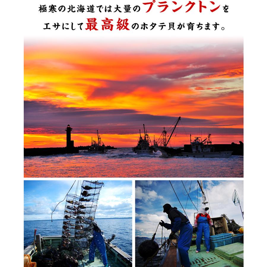 生ほたて 貝柱 希少な 特大 1kg 約31〜35粒前後 送料無料 ホタテ ほたて プレゼント FF