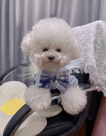 【iC原創】JK領結