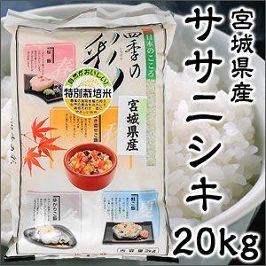 米 日本米 令和4年度産 宮城県産 ササニシキ 20kg