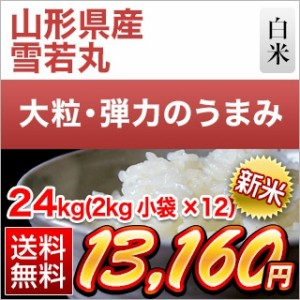 白米 24kg 2kg×12袋 新米 令和5年(2023年)産 山形県産 雪若丸〈5年連続特A評価〉送料無料  お米