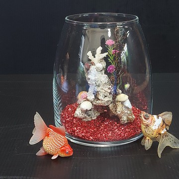 魚缸 珊瑚海景、沉木水草 組合造景 AM-003-XS-02