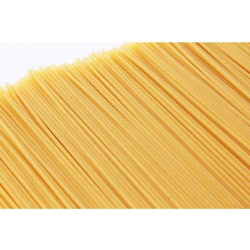 食品 創健社 業務用ジロロモーニ有機スパゲティーニ「細めの1.4mm」 5kg
