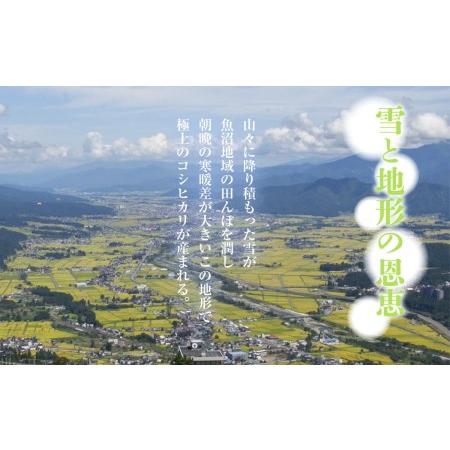 ふるさと納税  新潟県 魚沼産 コシヒカリ お米  20kg×計12回 精米済み 1年間 毎月発送 こしひかり（お米の美味しい炊き方ガイド付き） 新潟県