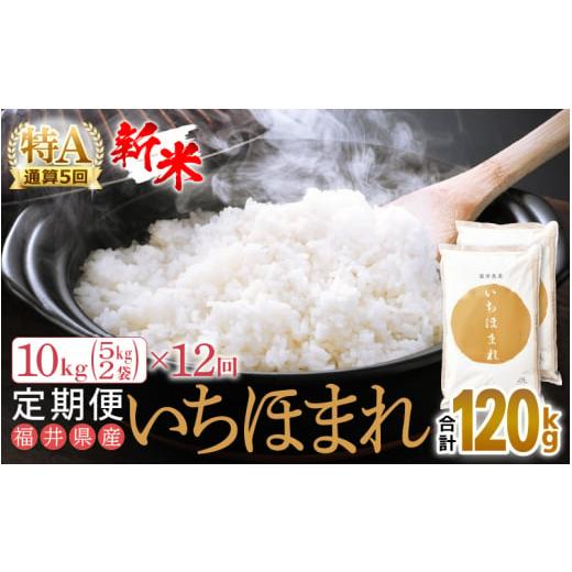 ふるさと納税 福井県 越前町 定期便 ≪12ヶ月連続お届け≫ いちほまれ 10kg × 12回（計120kg）特A通算5回！令和5年 福井県産…