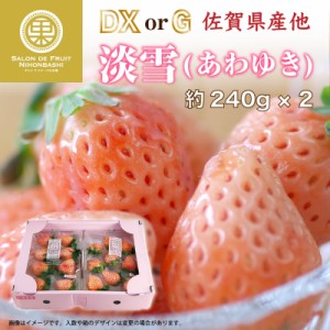 [予約 2024年1月5日-1月30日の納品] あわゆき 淡雪 いちご DX または G 約240g×2 佐賀県産ほか