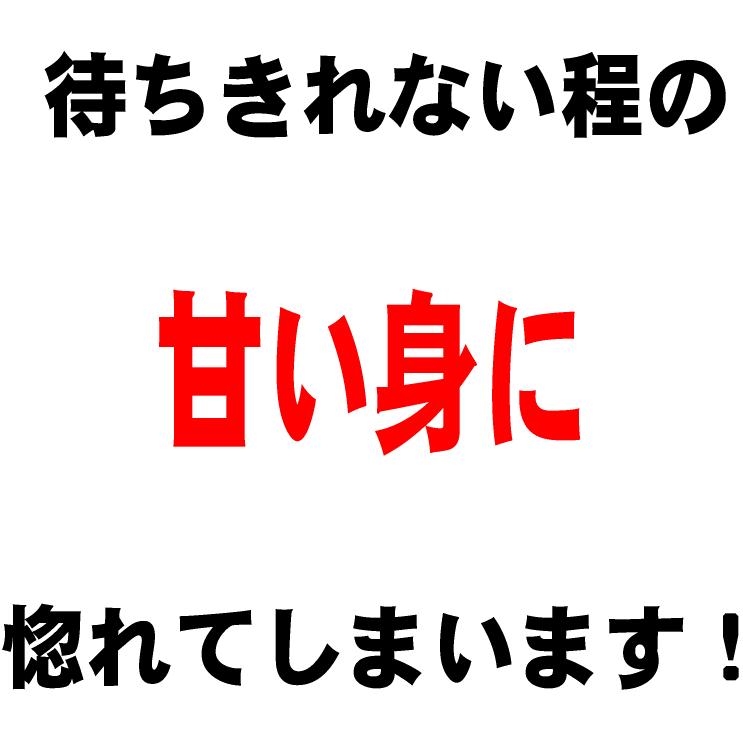 魚介 魚 天然 干しえび 120g(熊本県産) (訳あり わけあり 不ぞろい 不揃い) エビ メール便限定 送料無料