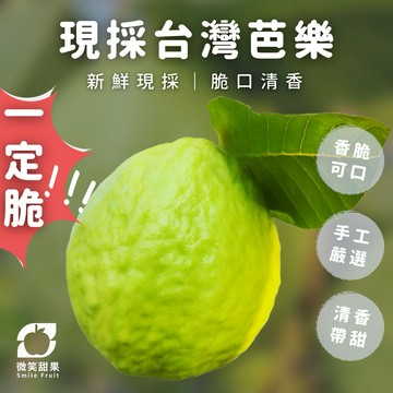 預購中【微笑甜果】台灣芭樂禮盒｜台灣芭樂・溪州芭樂・芭樂禮盒・水果禮盒