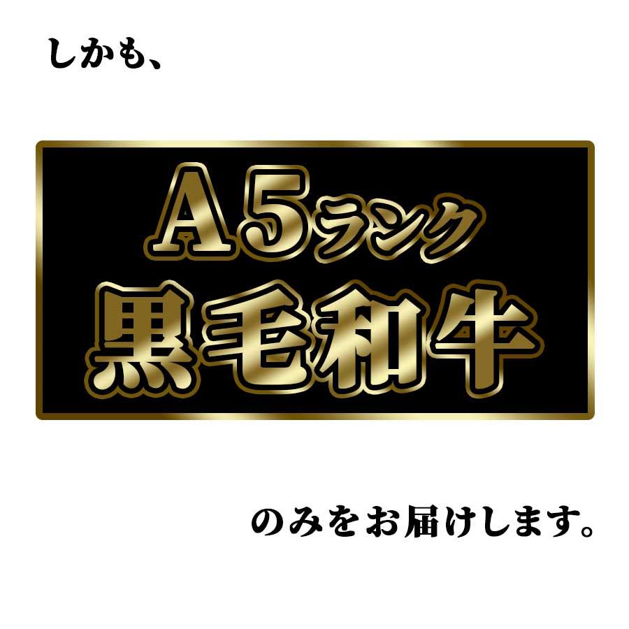 お歳暮 御歳暮 肉 焼肉 牛 牛肉 ステーキ 赤身 ヒレ A5 黒毛和牛 130g 冷凍 プレゼント ギフト 贈り物