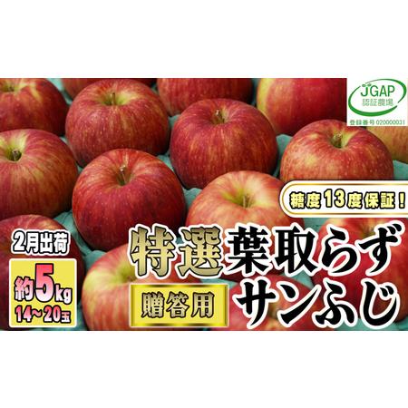 ふるさと納税 2月発送贈答用 葉取らず サンふじ 約5kg  青森県鶴田町