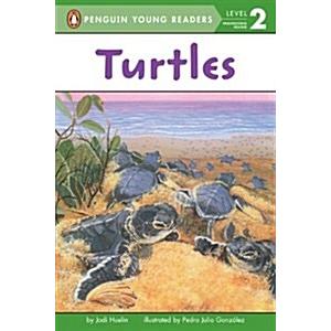 Turtles (Paperback)