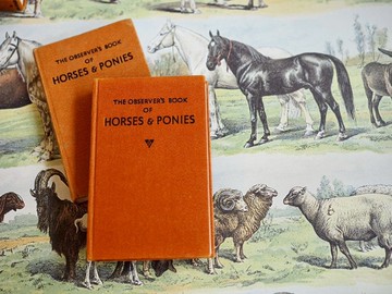 馬年限定收藏-英國Horses & Ponies口袋圖鑑