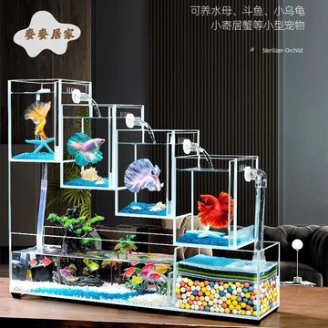 超透斗鱼缸桌面超透亚克力鱼缸热带观赏鱼生态底滤步步高多格分仓pm6101