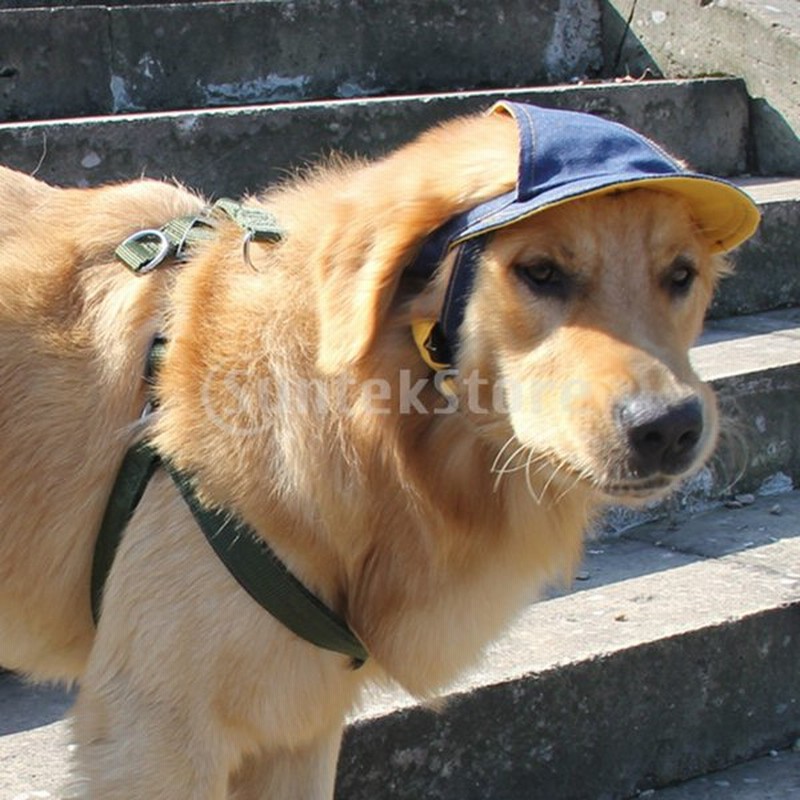デミ犬の野球帽バイザーの帽子調節可能なsunbonnetサンキャップ耳の穴 通販 Lineポイント最大0 5 Get Lineショッピング
