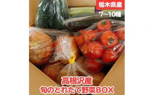 高根沢産旬の野菜BOX