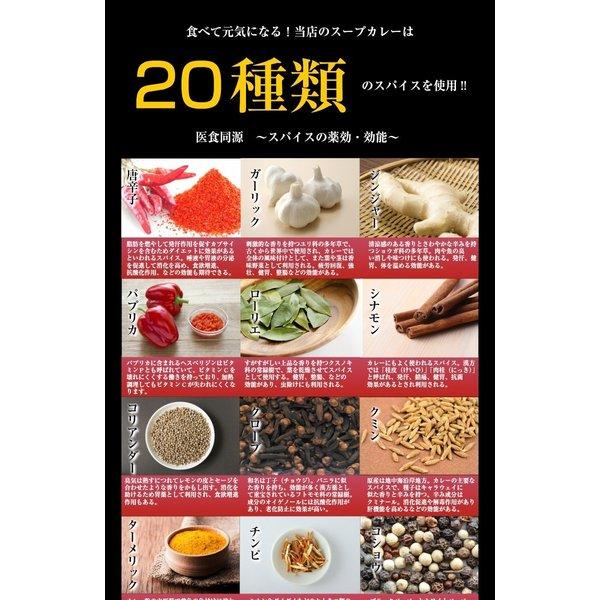 カレー レトルトレトルトカレー スパイス スパイスカレー チキン 角煮