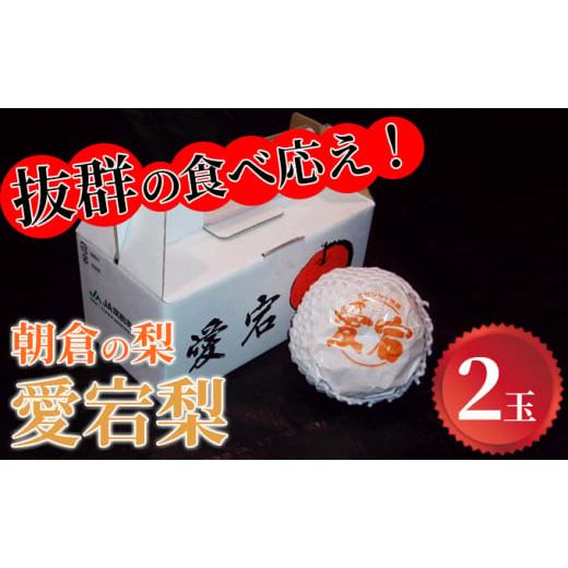 ふるさと納税 福岡県 朝倉市 梨「愛宕」（2玉×1）＜筑前あさくら農協＞※配送不可：離島