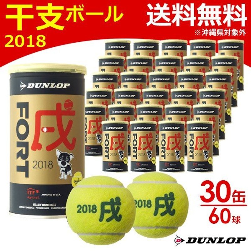 FORT(フォート) 硬式テニスボール ダンロップ　30缶60球テニスボール