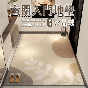 玄关地垫 進門地墊 北歐簡約地垫 臥室地垫 耐磨 入戶門地垫  水晶絨 高級腳墊 吸水防滑 好打理 玄關 耐脏水晶绒地垫