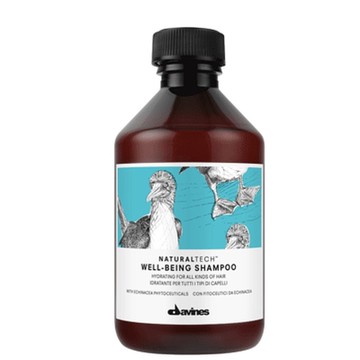 Davines 特芬莉 達芬尼斯 海泰公司貨 樂活紫菊洗髮露250ML 滋養保濕 適天天使用