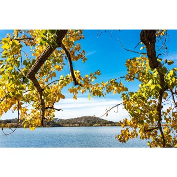 澳洲旅遊｜《小孩不佔床扣一萬》雪梨經典必遊·庫倫賓與無尾熊下午茶之約、親牽羊駝、親子趣金雪8日_26PICIBS