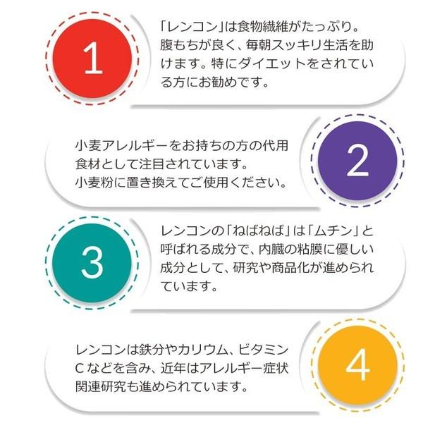 セール 送料無料 れんこんパウダー レンコン粉末 パウダー 国産 無添加 徳島県産 100g×1袋 お試し