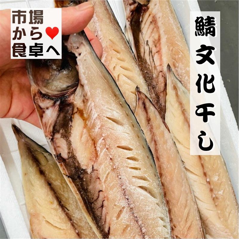 さば文化干し 鯖の干物 6枚(特大サイズ1枚当たり約170g)脂のっています