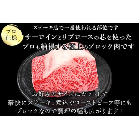 ふるさと納税 《プロシリーズ》佐賀牛 最上位部位ロースブロック500g 牛肉 ステーキ ローストビーフ かたまり ギフト 黒毛和牛 すき焼き しゃぶ.. 佐賀県唐津市