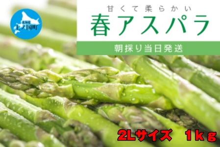 北海道産　寅福菜園の朝採れ春アスパラ　2Lサイズ1㎏