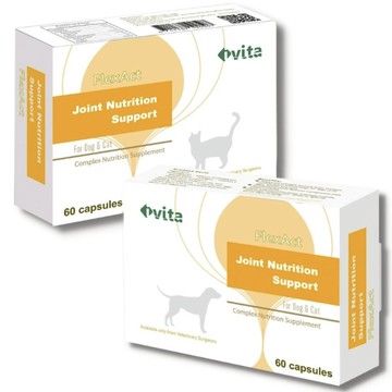 [免運,24HR出貨] ivita FlexAct 顧關捷 60粒 寵物關節保健食品～關節保健品 顧關節