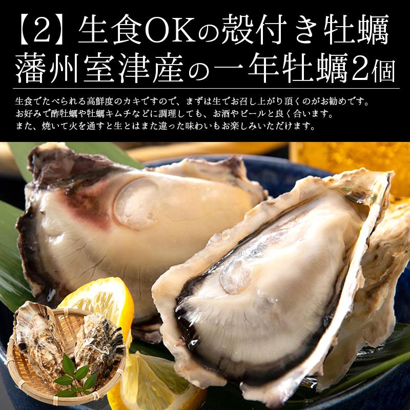 福袋 10種入り カニ 牡蠣 いくら醤油漬け 鯖 銀鱈 西京漬け ネギトロ 鯖開き 辛子明太子 蟹みそ ホタテ 冬グルメ 冬ギフト