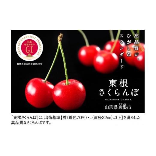 ふるさと納税 山形県 東根市 GI「東根さくらんぼ」 さくらんぼ＆山形牛コース(2024年6月スタート)