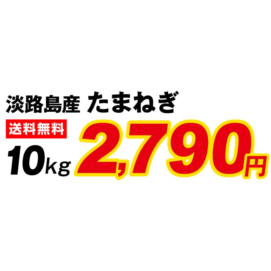 たまねぎ 10kg 淡路島産 送料無料 食品