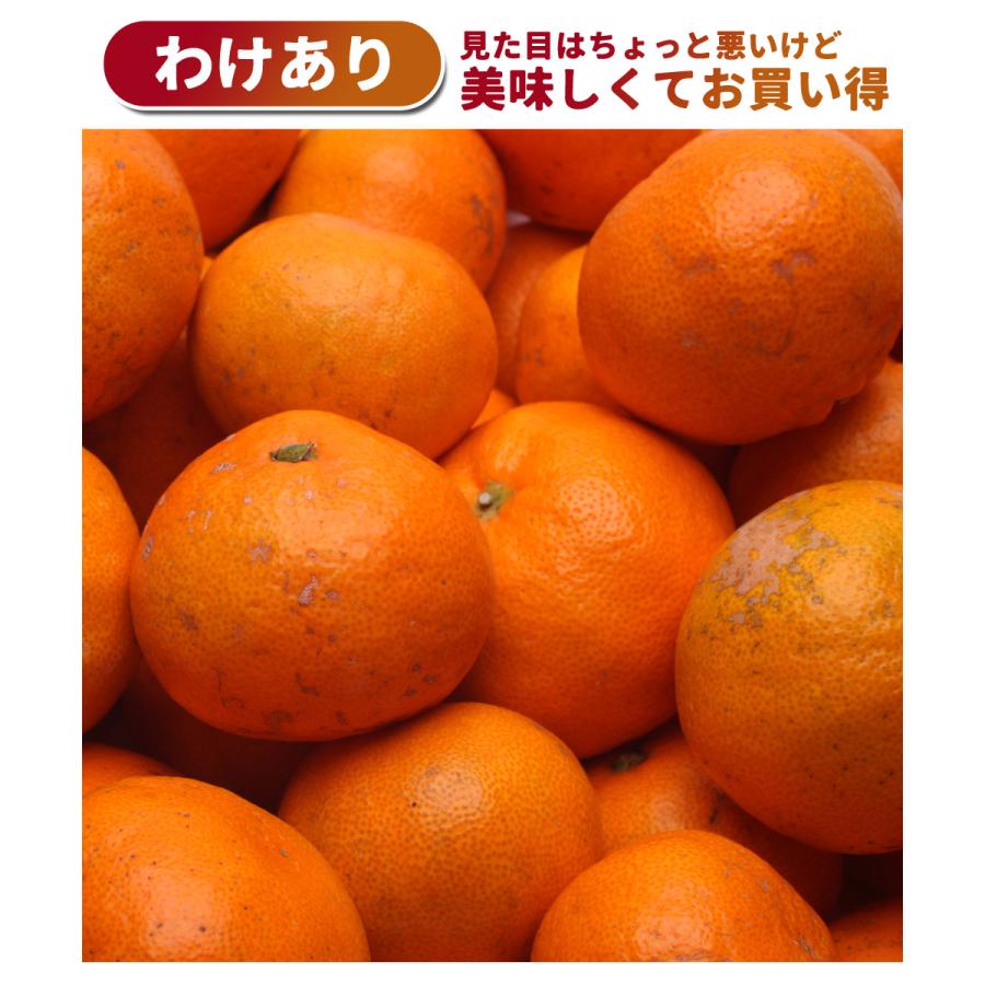 有田みかん わけあり 5kg ／ 送料無料 訳あり 温州みかん KS 有田 みかん ミカン 家庭用