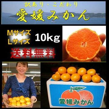 愛媛みかん１０ｋｇＭ寸Ｌ寸 西宇和産　贈答用　ネット限定品