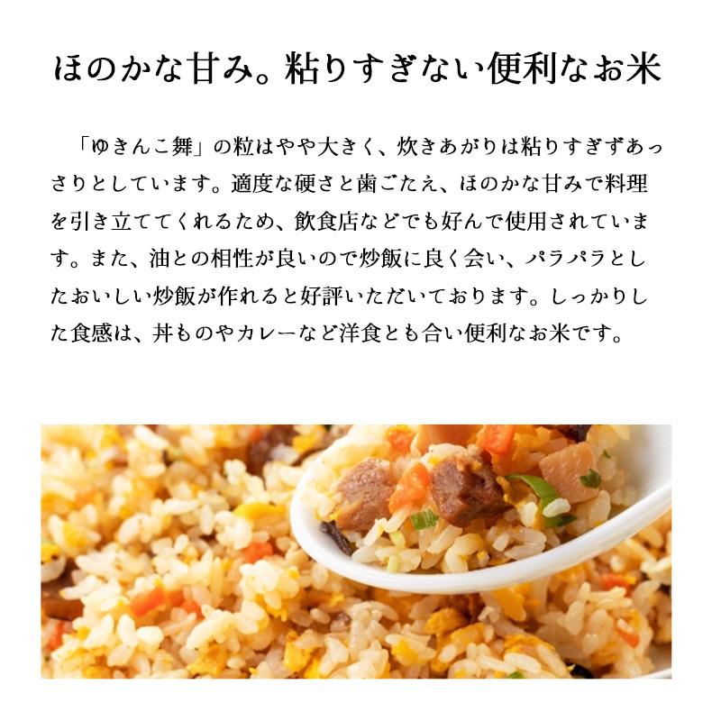 新米 20kg ゆきん子舞 お米 20キロ 令和5年産 新潟県産 産直 精米 白米 送料無料 (沖縄のぞく)